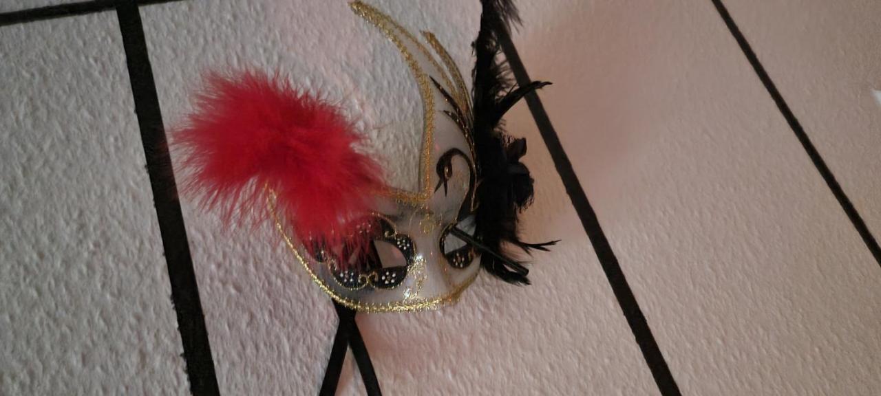 Le Coin Des Desirs Bdsm Apartment Strasbourg Bagian luar foto